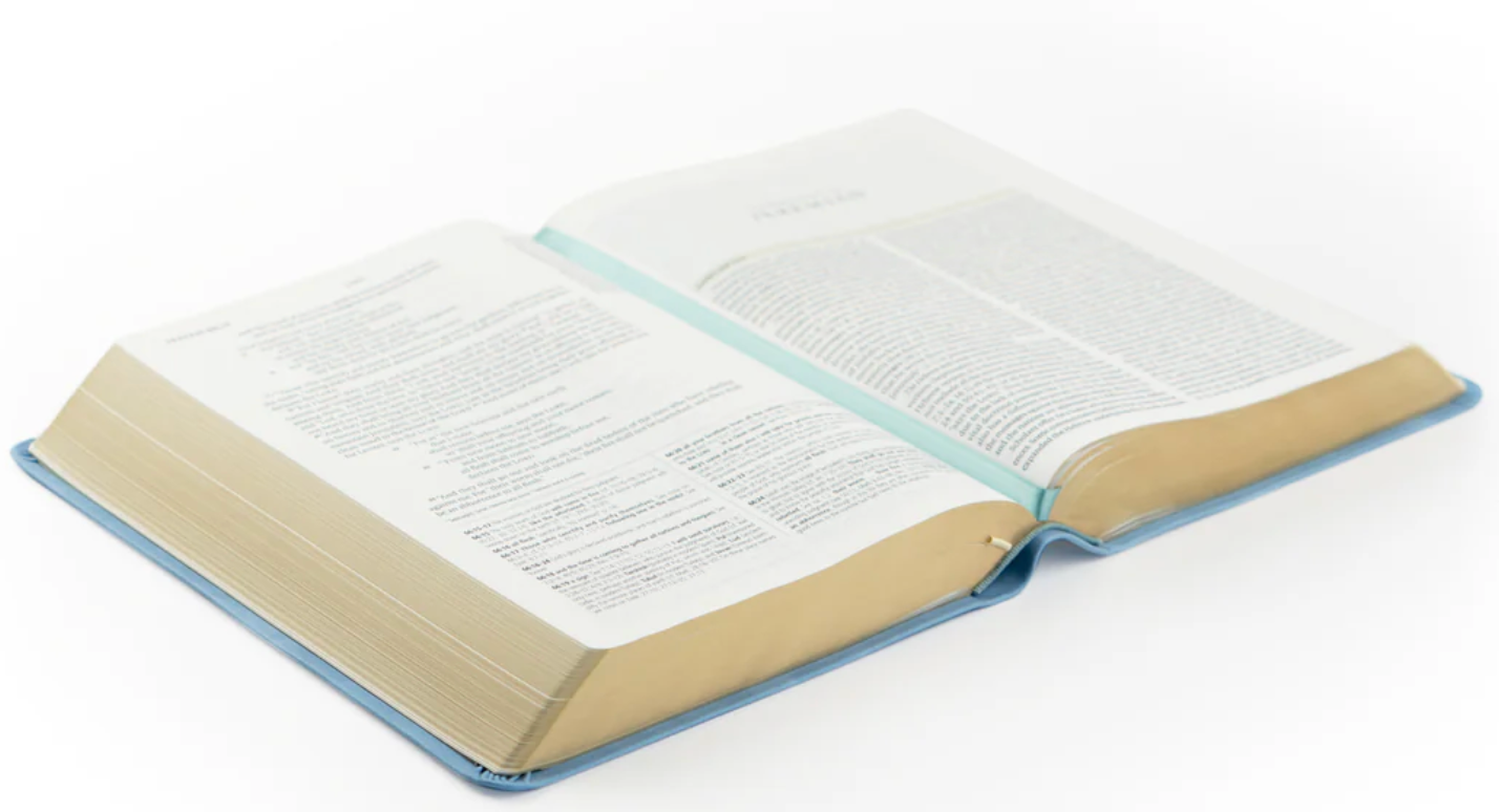 ESV Study Bible