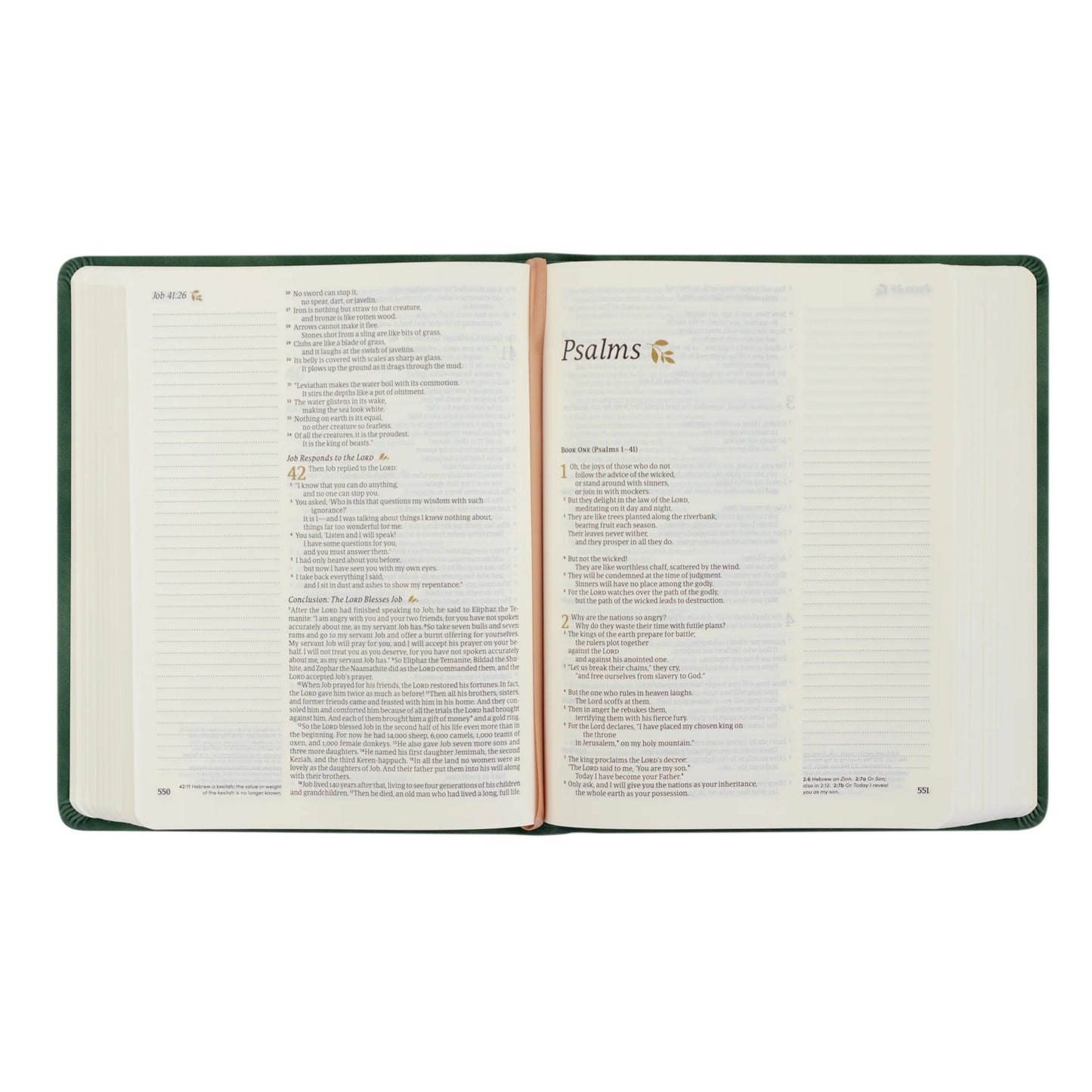 NLT Notetaking Bible : Summerside