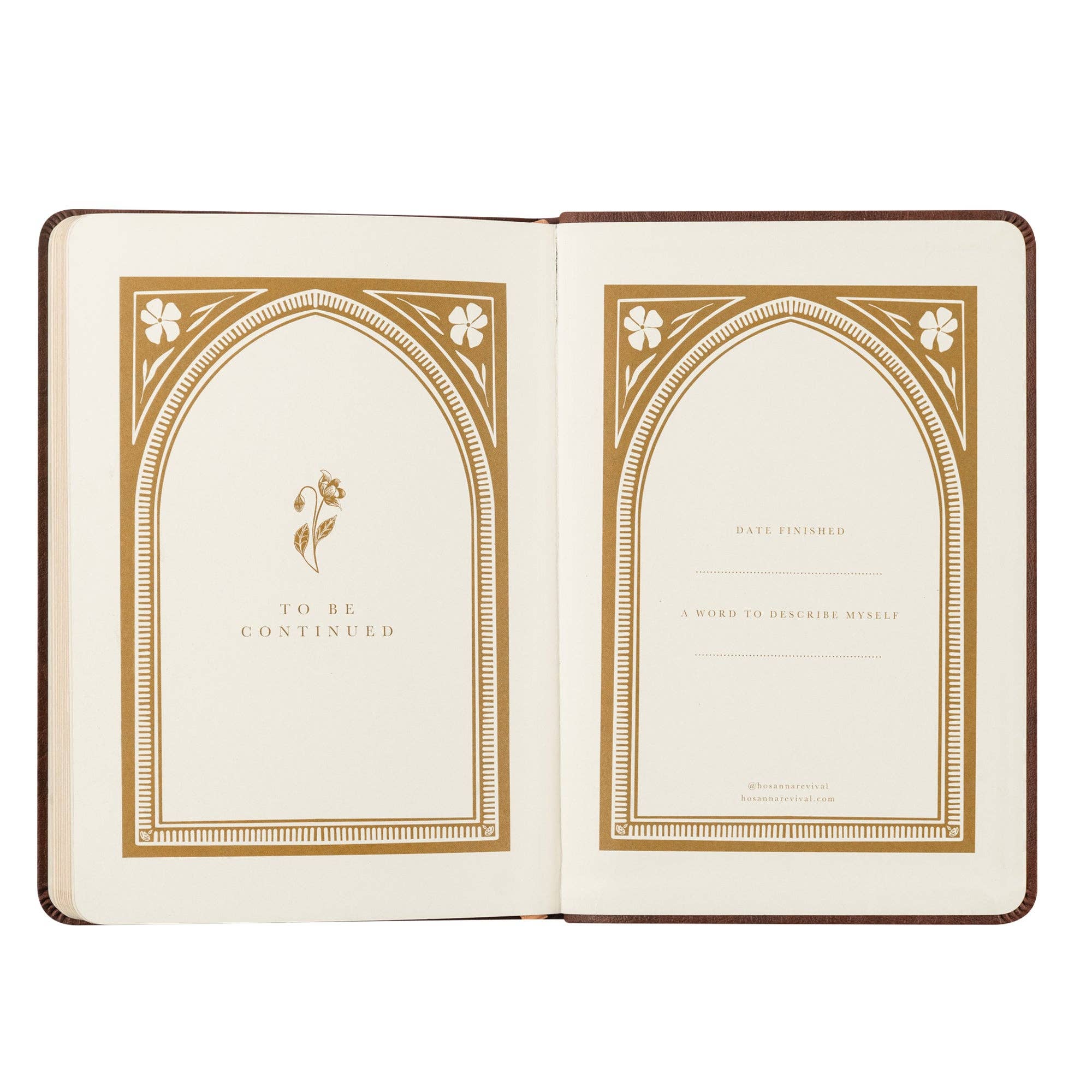 Notebook: Palma Theme