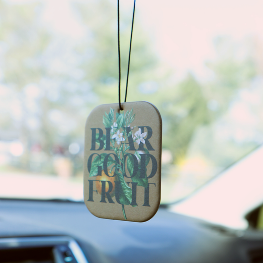 Bear Good Fruit 4-Pack Ocean Scented Air Fresheners