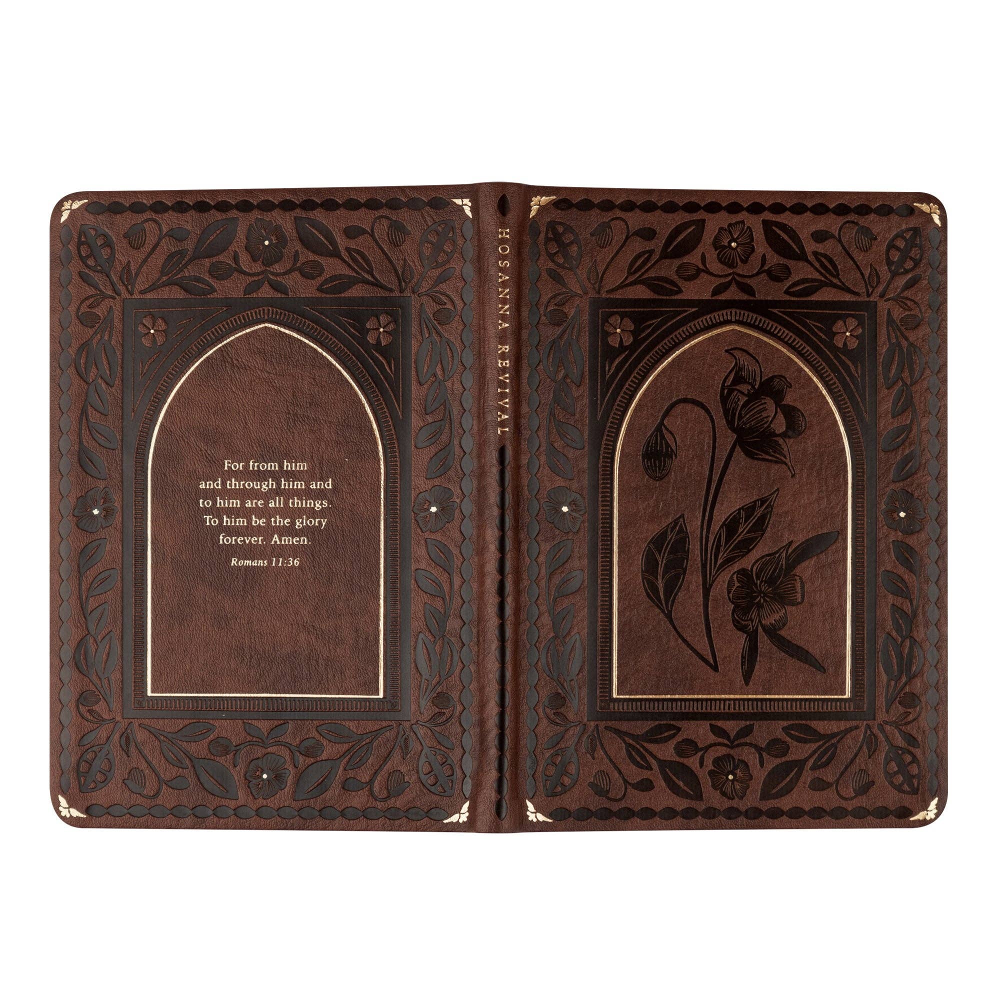 Notebook: Palma Theme