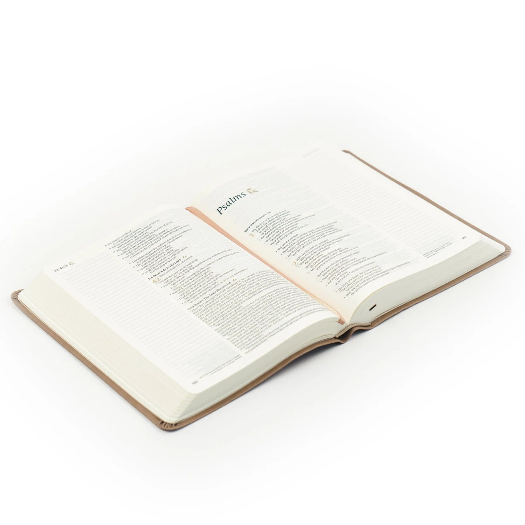 NLT Notetaking Bible : Galilee