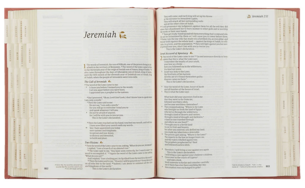 Bible Tabs