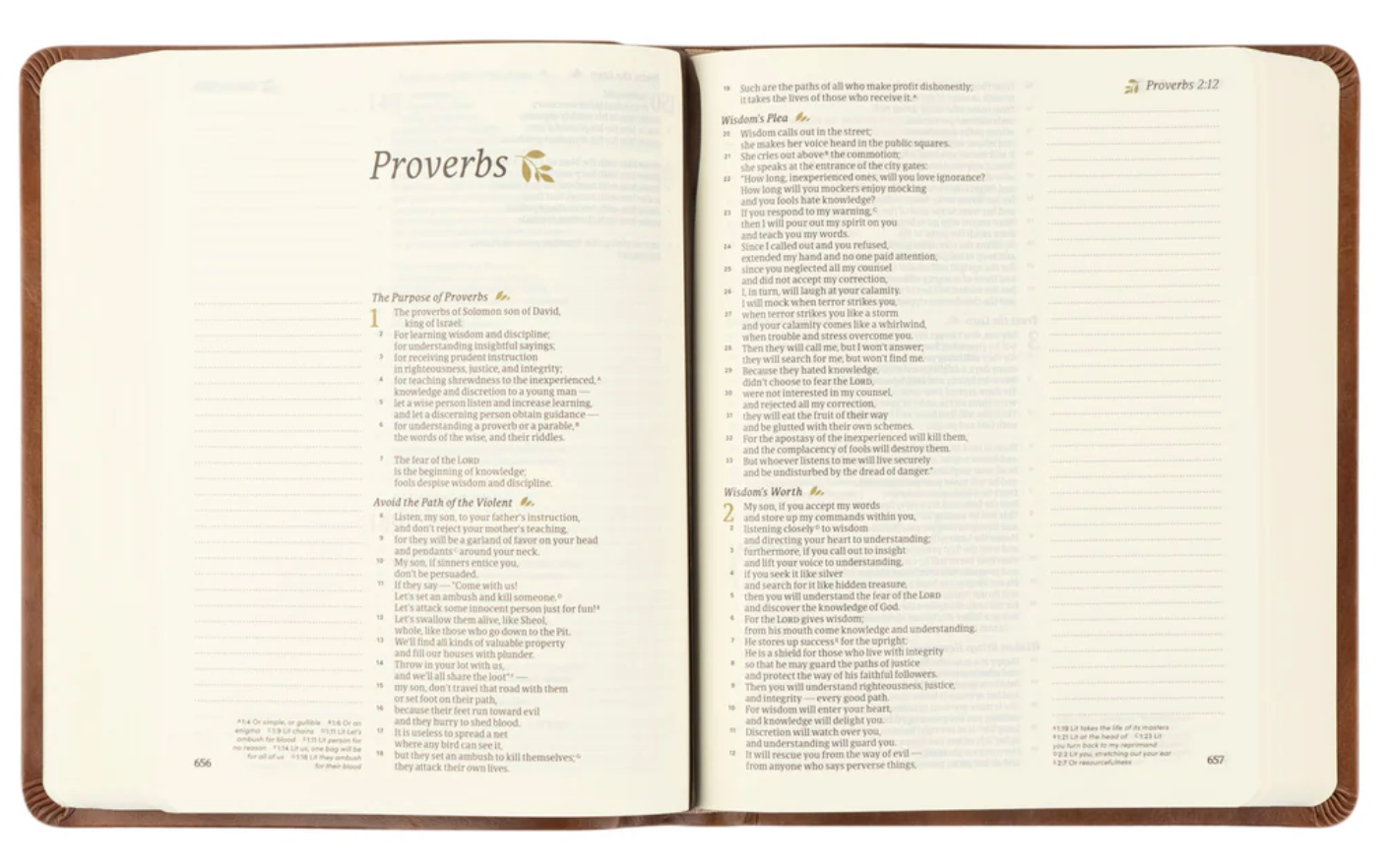 CSB Notetaking Bible- Edinburgh