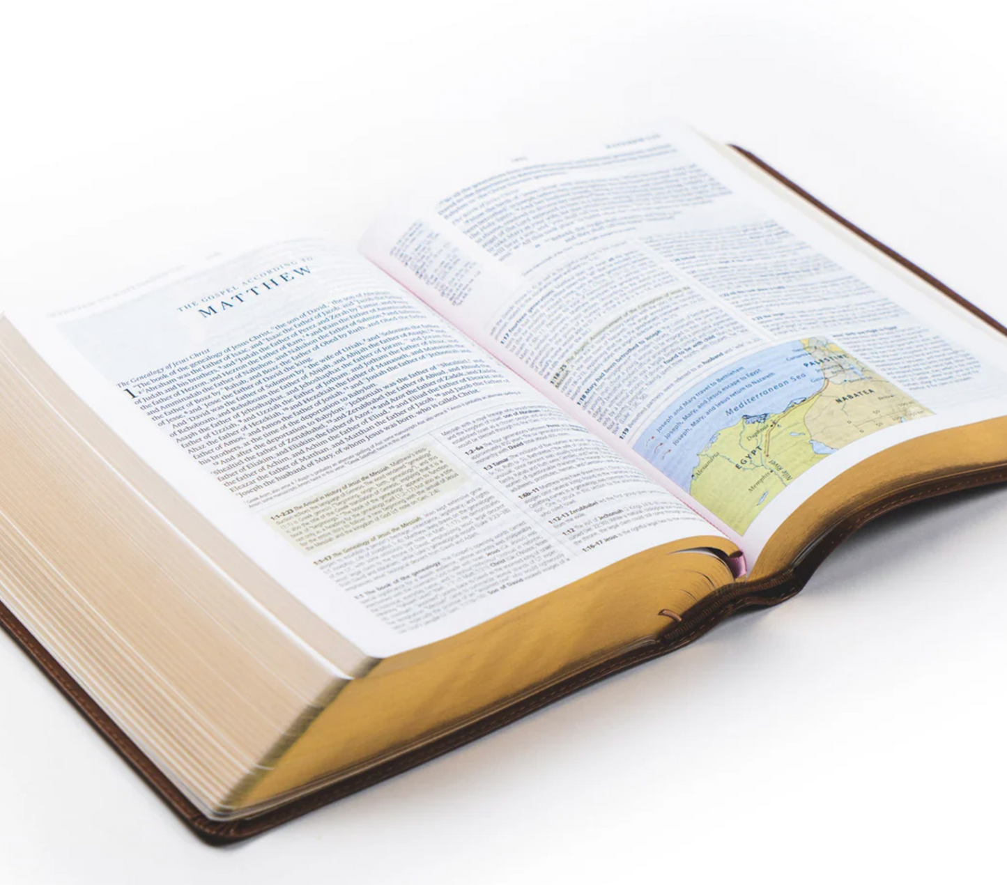 ESV Study Bible