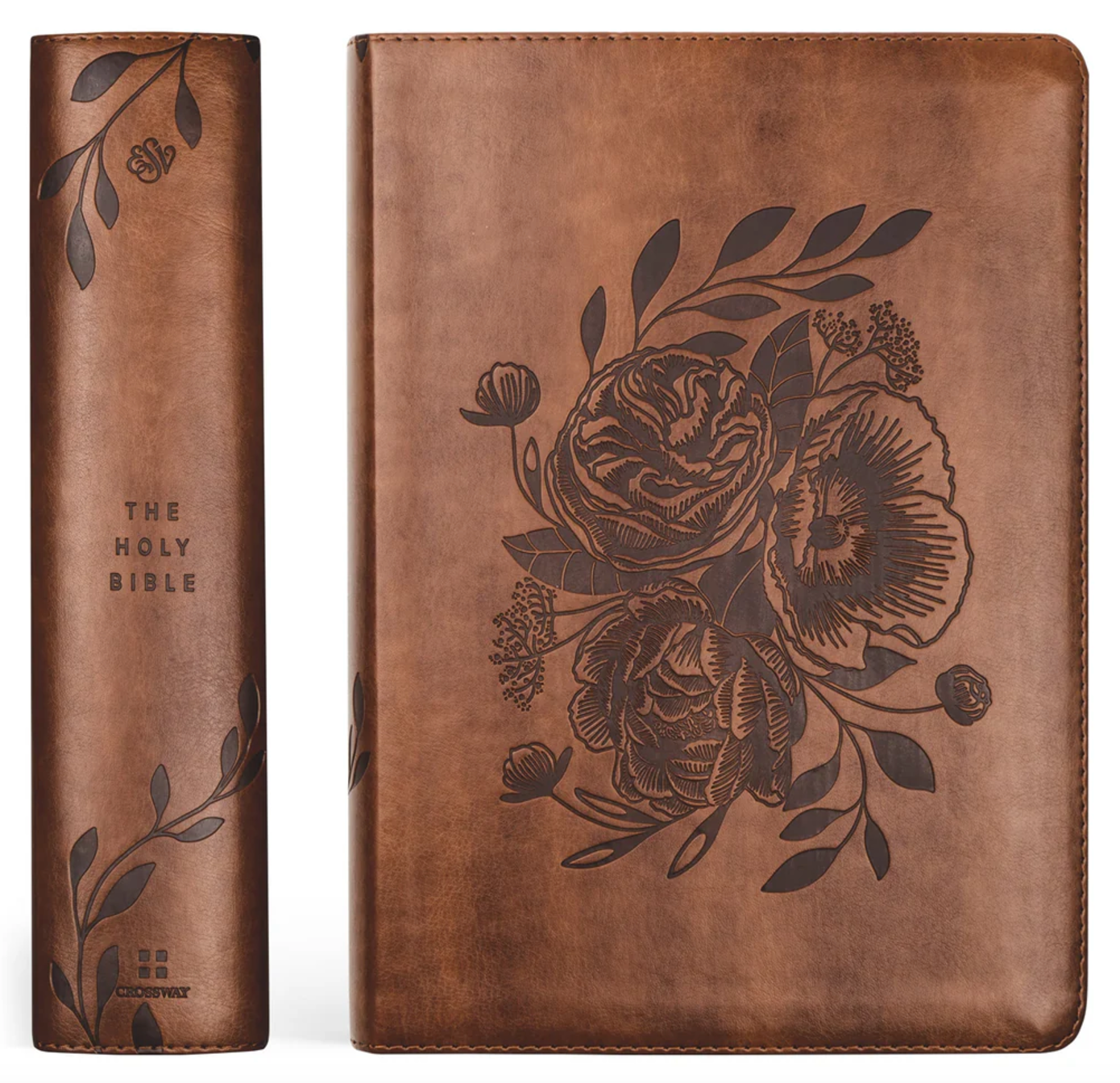 ESV Study Bible
