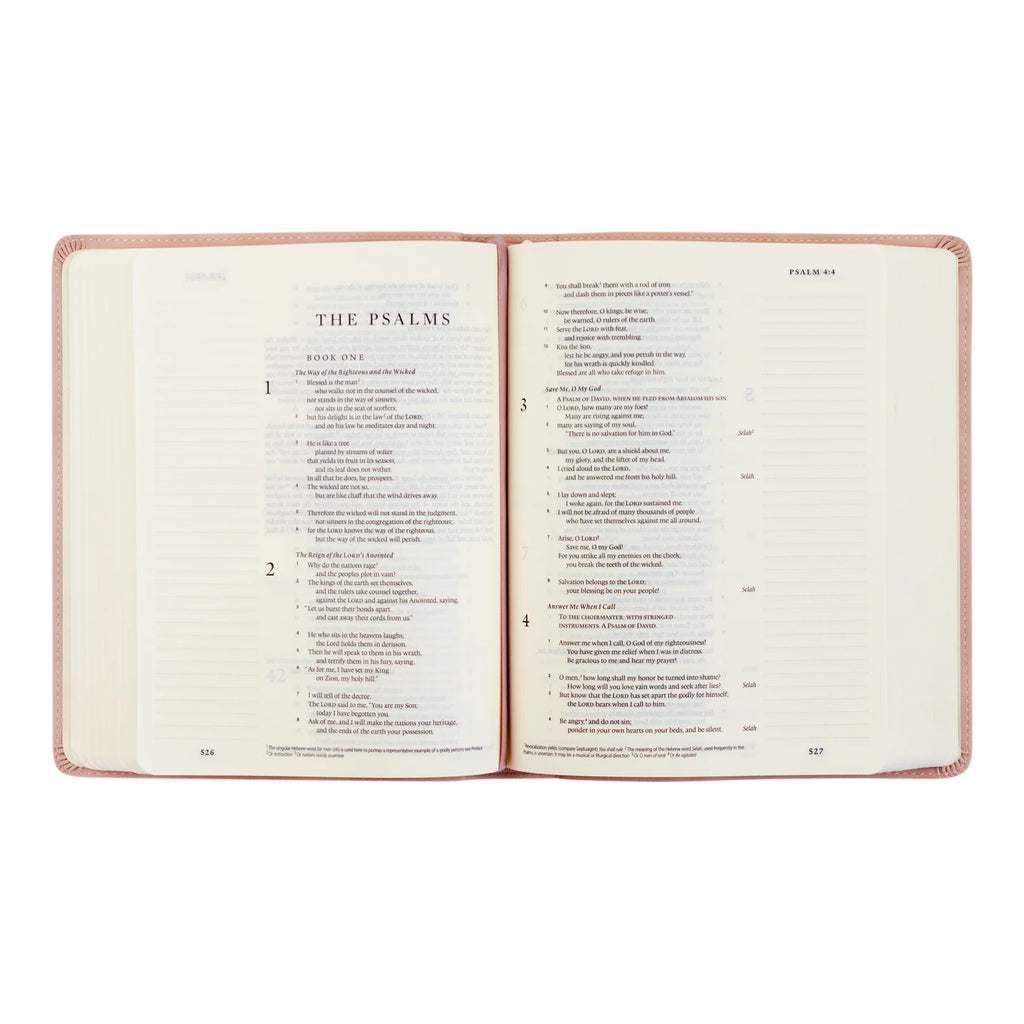 NLT Journaling Bible : Shiloh Theme