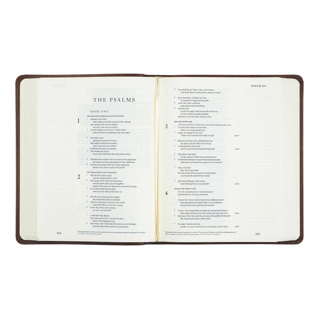 ESV Journaling Bible: Westminister