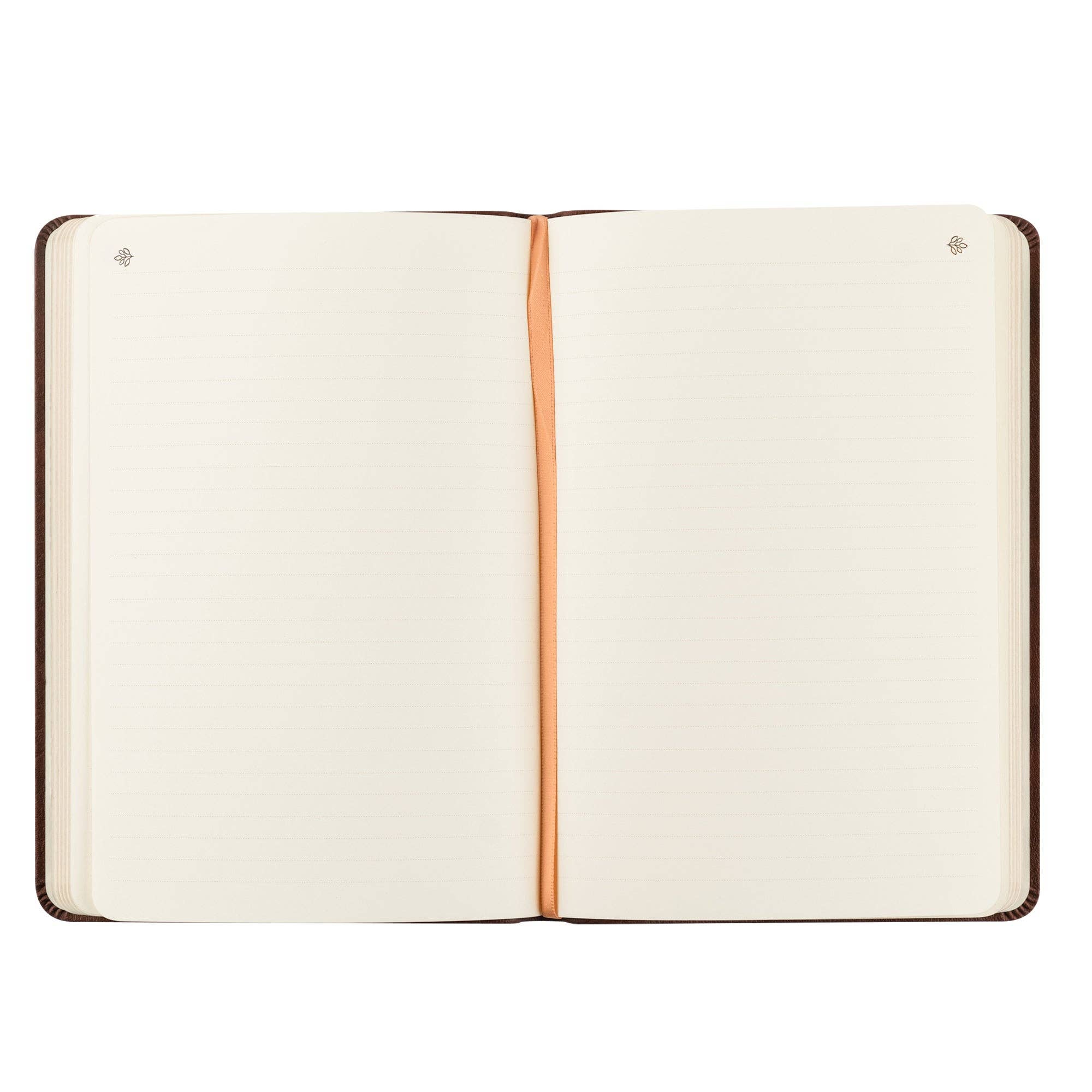 Notebook: Palma Theme